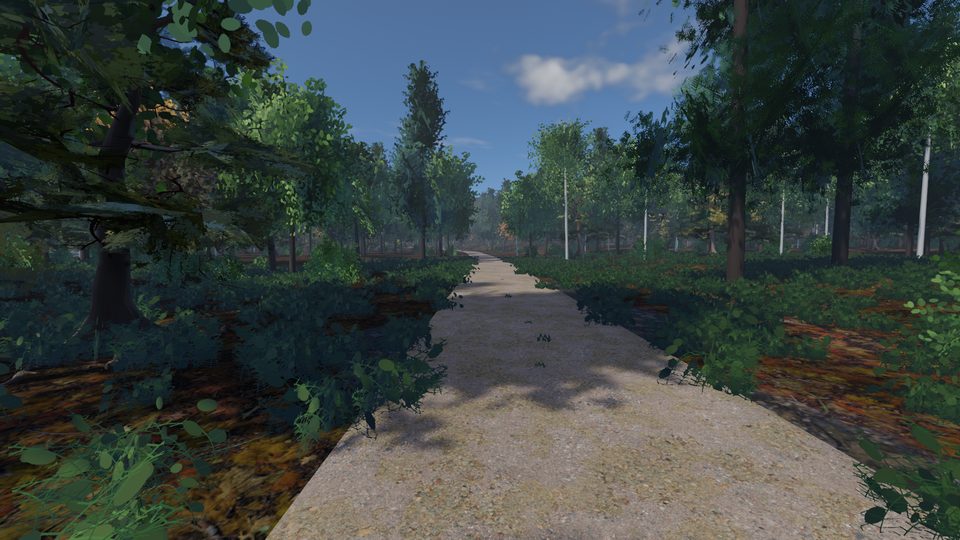 The cockpit view: the Ammer track's gravel through the woods, from the saddle